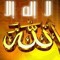 Mohsen ELsabrout