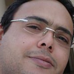 Waleed Shoukry 1