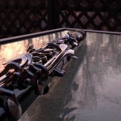 Sarah Anne Minicucci