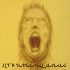 Screaming Anus