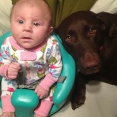 Kylee Damstra Theule