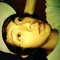 Gregorio Flores 2