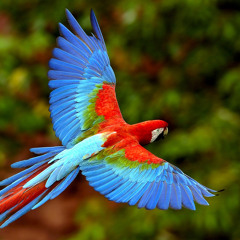 عندما حضنتني بالأمس يا أبي