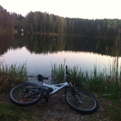 Vakaris Maciulevicius