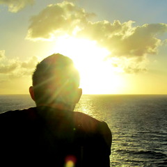 SunnySash