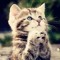 SchaCAT25