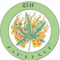 Acmefuer Fuerteventura