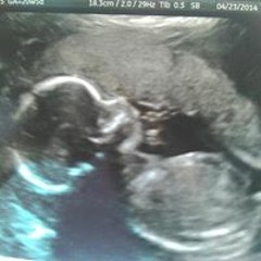 Sharone Wifed Daniels