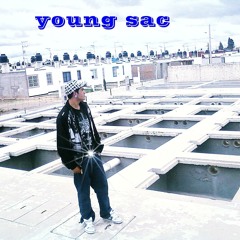 theyoungsac