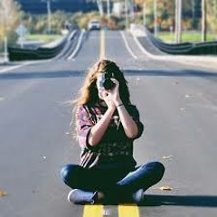 diary of a traveler