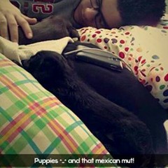 Mateo Lorenzo Herrera Jr.