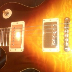 Maggot Therapy Project