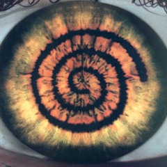 Gilboa Wilson Project