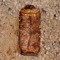 Fossil Aerosol Mining Project