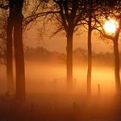 Freddy Cervantes Chavez