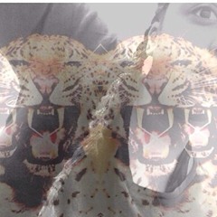 kingluvbug