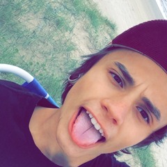Vinicius Brandalise