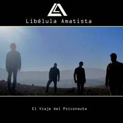 libelula.amatista