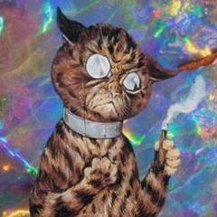 j4ke kitty cat meow