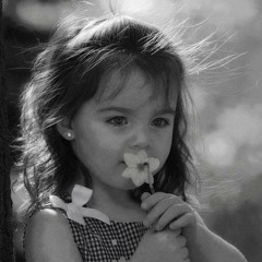 Nour Hussam