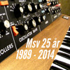 MSVsödermalmsskolan25år