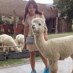 Plimcha Songsaengcharoen