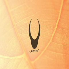 yaxed