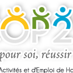 SCOP276