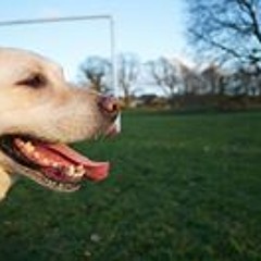 Charlotte Yoshi Hill