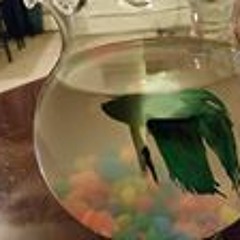 Anthony Tåçø Rocco