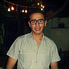 mostafa abohussin