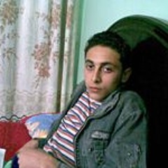 Fekry Essam