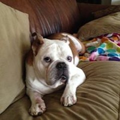 Karen Arzola Ramirez