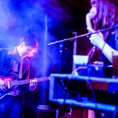 pretty birds that kill