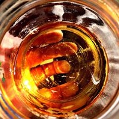 Taylor Jackson Stone