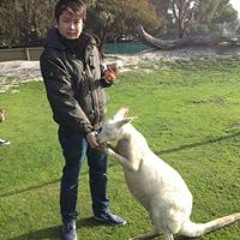 Wailoon Wailoon Chong