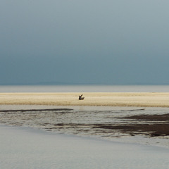 Marshell De Neurasthénie
