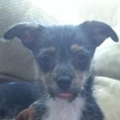 Michelle Sutton Reyes