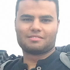 M.ELmashaly
