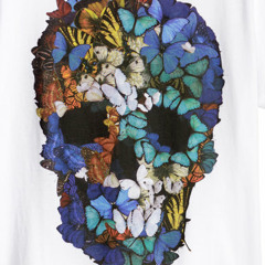 Samane Van Der Loops
