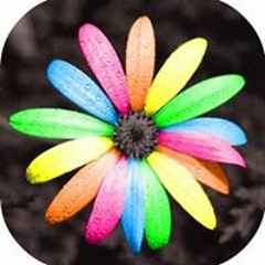 Cassandra Marks-Quinlan