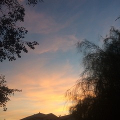 AshleyLovesToSing314