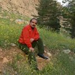 Muhammad Ali Khodayari