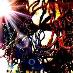 Willnate Hardaway Drisdel