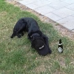 Frederik Bo Petersen