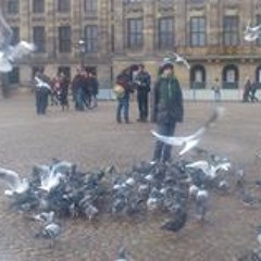 Boldizsár Kende Kállai