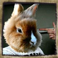 Tristan James Bankhead