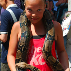 Katrina Mørk-Barrett