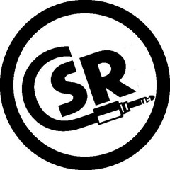 Criticalsoundlevelrockerz