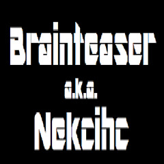 Brainteaser - Nekcihc* 2